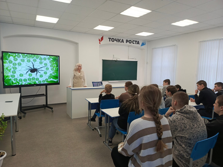 Игра Паутина.